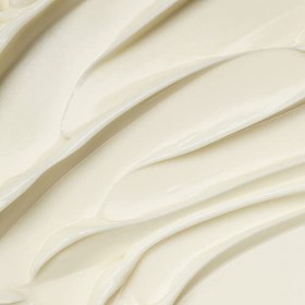 Neals Yard Remedies Crème hydratante à lencens | Jusquà 24 heures dhydratation, sensation lisse | 50 g