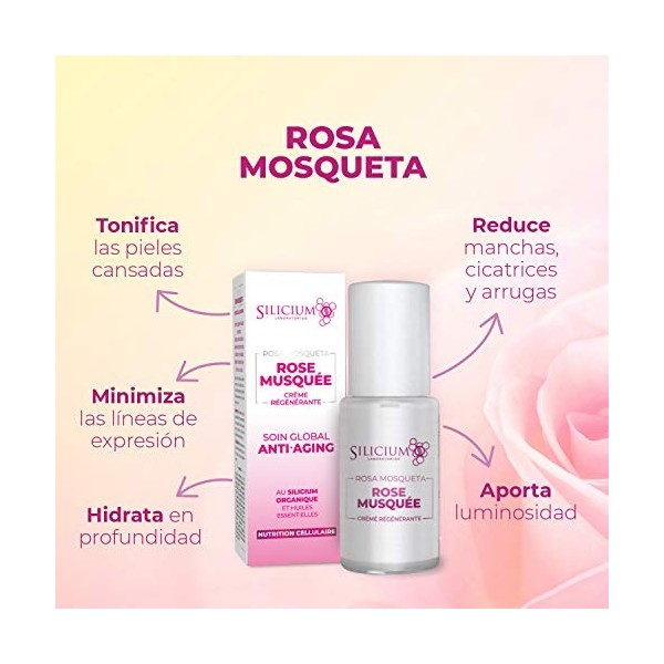 Rose musquée. Crème anti-âge. Hydratation et éclat pour la peau. Composé à base de silicium et dhuile de rose Mosqueta du Ch