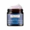 Antipodes CULTURE - GEL CREME DE NUIT REPARATEUR AUX PROBIOTIQUES - 60 ml