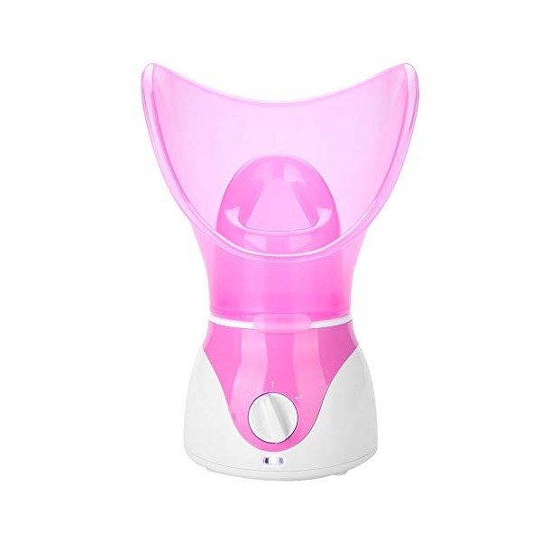 Vapeur facial de sauna facial, vapeur ionique nano professionnel dhumidificateur de dispositif à vapeur de visage pour le di