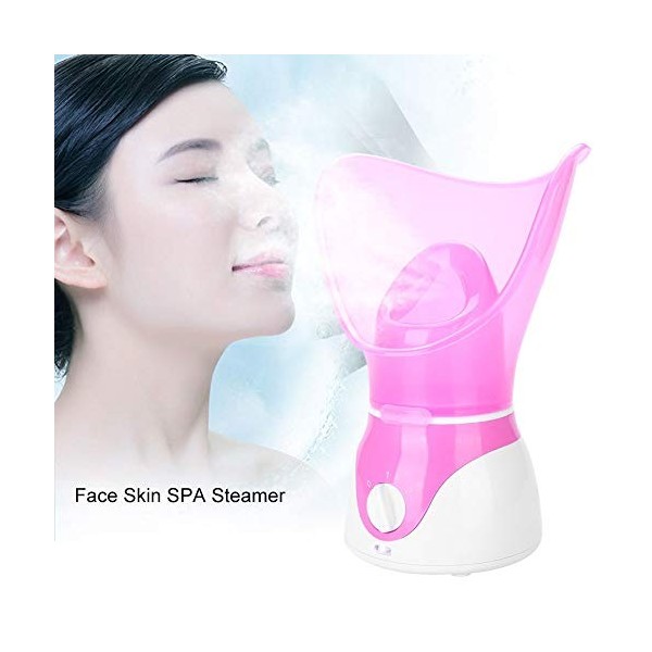 Vapeur facial de sauna facial, vapeur ionique nano professionnel dhumidificateur de dispositif à vapeur de visage pour le di