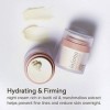 The Jojoba Company Overnight Renewal Cream, Hydrating Face Cream for Increased Skin Firmness, Youthful and Nourished Skin, En