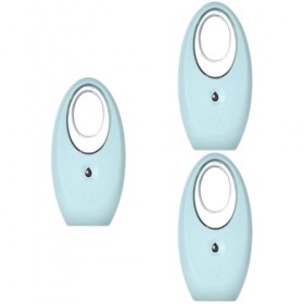 FRCOLOR 3 Pièces Le Dissolvant De Taches De Rousseur Céruléen Beauté Pour Le Visage Instrument De Nettoyage Nano Mini Vapeur 