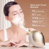 Vapeur Visage Vaporisateur,TOUCHBeauty Sauna Facial Nano Ionique avec Réservoir Deau de 90ml, SPA Facial Chaude Steamer pour