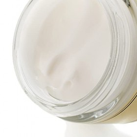 Crème Visage The Lab Room Botanical Face Cream 50ml, Crème Hydratant Légère pour Soins de la Peau aux Géranium et Lavande