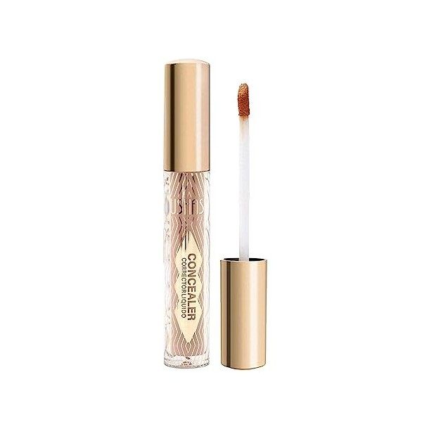 Correcteur de base mat, 27g Fond de Teint Couvrance Complète Maquillage Visage Longue Durée, Correcteur liquide Dark Circle p