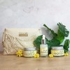 Trousse PurImmortelle - Trio de soins Bio - Crème de jour, crème de nuit et sérum à lImmortelle - Fabriqué en France - Idée