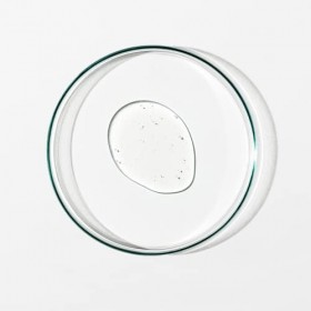 Grown Alchemist Sérum Détoxifiant : Complexe Antioxydant + 3 - Sérum Visage Hydratant et Nourrissant - Huile de Fleur dYlang