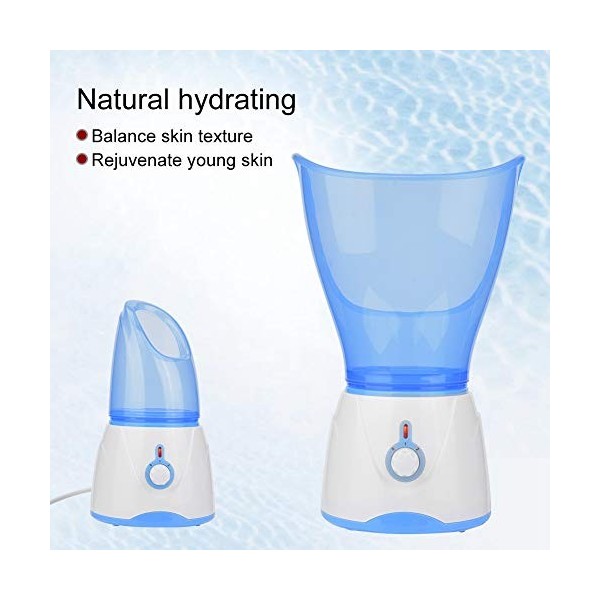 Appareil facial pour sauna facial, appareil r pour le visage Professional Nano Ionic, Humidificateur chaud pour le soin de la