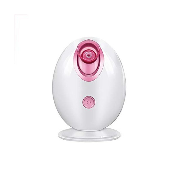 Vapeur Facial Steamer, Sauna Facial Home SPA Humidificateur Nano Ionic Facial Atomiseur Sprayer Pulvérisateur Brume Chaude po