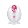 Vapeur Facial Steamer, Sauna Facial Home SPA Humidificateur Nano Ionic Facial Atomiseur Sprayer Pulvérisateur Brume Chaude po