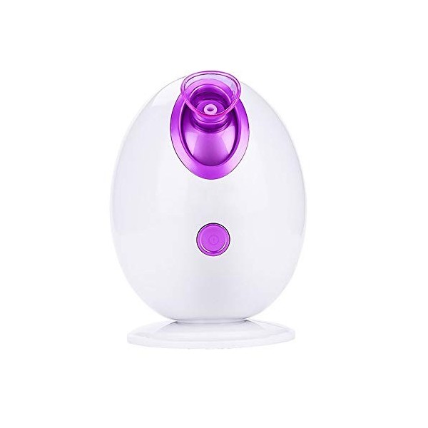 Vapeur Facial Steamer, Sauna Facial Home SPA Humidificateur Nano Ionic Facial Atomiseur Sprayer Pulvérisateur Brume Chaude po