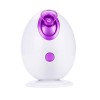 Vapeur Facial Steamer, Sauna Facial Home SPA Humidificateur Nano Ionic Facial Atomiseur Sprayer Pulvérisateur Brume Chaude po