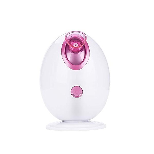 Nano Ion Humidificateur, Hot Mist Hydrater Nettoyer le visage avec larrêt automatique Pulvérisateur Fonction Humidificateur,