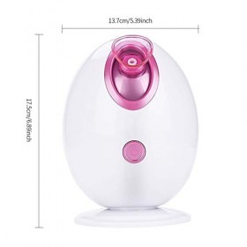 Nano Ion Humidificateur, Hot Mist Hydrater Nettoyer le visage avec larrêt automatique Pulvérisateur Fonction Humidificateur,