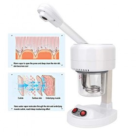 Machine de pulvérisation de visage, Steamer facial portable, Humidificateur réglable hydratant hydratant de salon de beauté, 