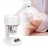 Portable Beauty Salon Hot Mist Face Steamer Hydratant Hydratant Spray Machine