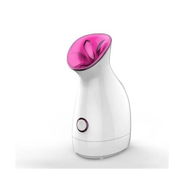 Humidificateur Facial à usage domestique, vapeur professionnelle Nano ionique, vaporisateur chaud pour réduire les rides, hyd