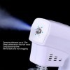 260ml Handheld Pulvérisateur Fogger Machine, Hair Steamer Nano Steam Machine, Hair Care Spa Humidifier, Nano Mixed Convient à