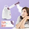 Vaporisateur Pour Le Visage Sauna Facial, Machine À Vapeur Pour Le Visage, Nano Spray Pour Le Visage, Appareil De Nettoyage D