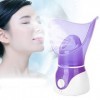 Vapeur pour le visage, humidificateur daromathérapie, vaporisateur de brume pour le visage Appareil hydratant pour le visage