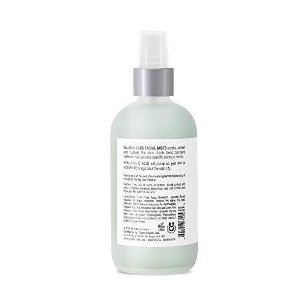 Valjean Labs Brume Visage - Hydrate, Acide Hyaluronique et Vtamine B5 4 fl oz 