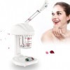 rongweiwang Machine de pulvérisation ionique vapeur faciale Salon Spa maison vapeur 220V dispositif de nettoyage du visage fo