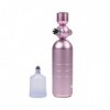 Dispositif hydratant spray facial PNI WFO175 Rose, 20 ml, avec pile, rose