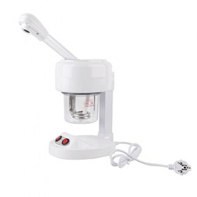 Machine à Vapeur Pour le Visage, Pulvérisateur à Vapeur Pour le Visage, Brume Chaude, Humidificateur Pour Hydrater les Pores 