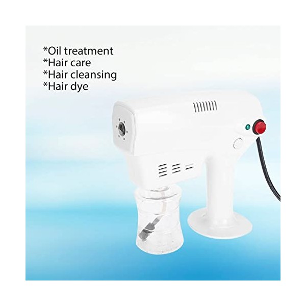 Multifonctionnel Nano Pistolet À Vapeur Coloration Des Cheveux Teinture Vapeur Humidificateur Outil De Soins Des Cheveux[Roya