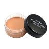 Popfeel 2018 Professionnel Newest Design Fond de teint Concealer Foundation Palette Crémeux Hydratant 02 