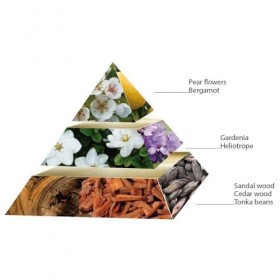 PASCAL MORABITO - PURE PERLE 100ML EAU DE PARFUM - FEMME