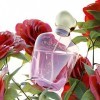 Oud Rose Eau de parfum en flacon vaporisateur 100 ml | Mélange de bois de santal et de roses fraîches | Parfum crémeux pour h