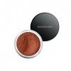 Bare Minerals All Over Face Poudre Warmth 1,5g