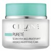 Orlane Pureté/Soin Hydro-Matifiant 1 Unité