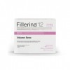 Labo Fillerina 12 Double Filler Volume Du Sein Traitement De Comblement Intensif Grade 4 Gel + Crème 2x45 ml