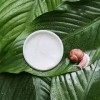 Laboratoire Floralpina - Bave descargot crème de nuit - protéger la peau durant la nuit - hydrate, nourrit et protège votre 