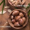 LÉA NATURE SO BiO étic| Crème Nutritive Redensifiante Nuit – Précieux Argan Peaux matures | Nourrit & Raffermit| Huile d’Arga