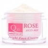 Crème Visage Nuit Anti-Rides au Coenzyme Q10, Huile de Rose Naturelle, Vitamine E et Glycérine Végétale 50ml, Crème Visage An