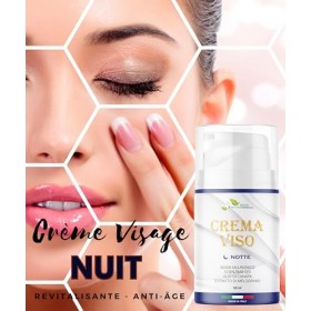 HEMP PHYTOMEDICAL - Crème Visage NUIT | Revitalisante - Anti-rides à lAcide Hyaluronique, Coenzyme Q10, Huile de Chanvre et 