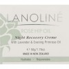 Lanoline Rose Night Recovery Creme 1.76 Fl Oz by Lanoline