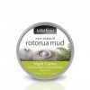 Wild Ferns Rotorua Thermal Night Cream 95g x 1 [Personal Care]