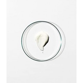 Grown Alchemist Crème de Nuit Détox: Peptide-3, Echinacea, Extrait de Reishi - Crème de nuit anti-âge - Riche en vitamines et