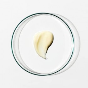 Grown Alchemist Crème de Nuit Régénérante : Peptide-3, Extrait de Feuille de Violette - Crème de Nuit Hydratante et Nourrissa