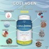 COLLAGENE HYDROLISE 2000MG - 240 COMPRIMÉS | Collagene et Acide Hyaluronique | Collagène, Acide Hyaluronique, Coenzyme Q10, V