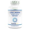 Collagène - 240 gélules - 1500 mg par portion journalière - Premium : 100% collagène hydrolysat peptidique bovin de Peptolap 