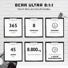 BCAA Ultra Caps - 365 gélules avec un dosage élevé de 1100 mg par gélule - Premium : rapport puissant 8:1:1 - Leucine, L-Isol