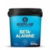 Bodylab24 Bêta-alanine en poudre 500g, 100% pure bêta-alanine en poudre, sans autres additifs, nutrition sportive de haute qu