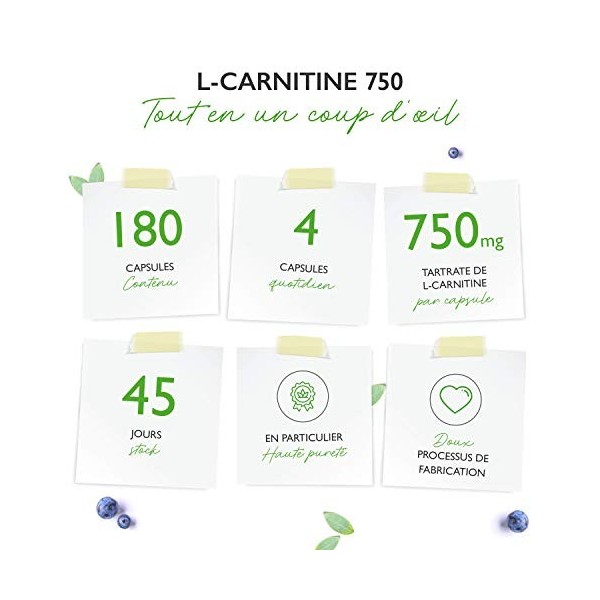 L-Carnitine - 180 capsules végétaliennes - Fortement dosé avec 3000 mg par portion journalière - Premium : 100% L-Carnitine T