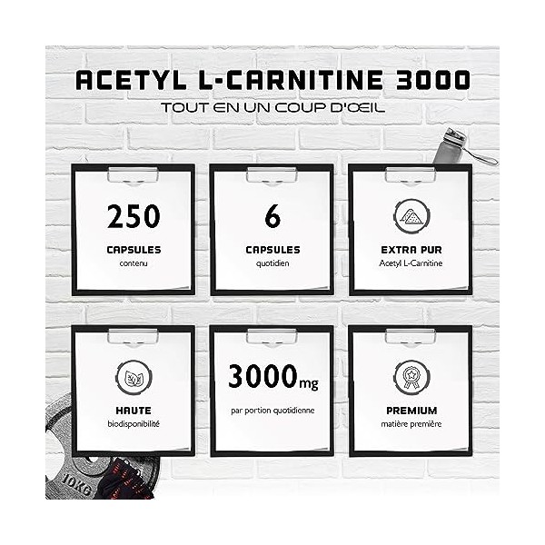 Acetyl L-Carnitine 3000 avec 250 gélules - 3000 mg par portion quotidienne - Premium : L-Carnitine sous forme dacétyle - hau